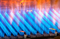 Rogart gas fired boilers
